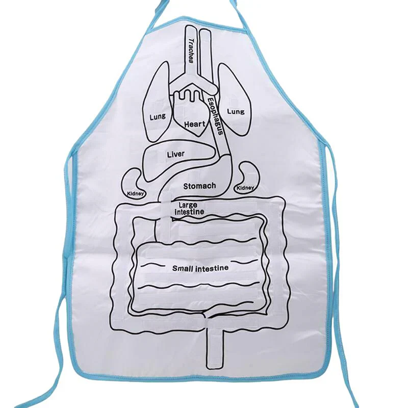 Apron – Learn About the Human Body Through Play - Image 6