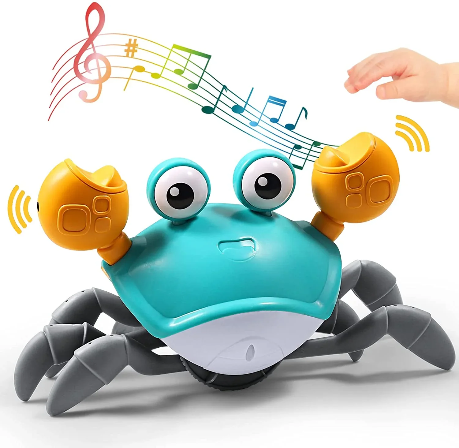 Crab Racer โ Encourages Your Child to Crawl โ Interactive Toy