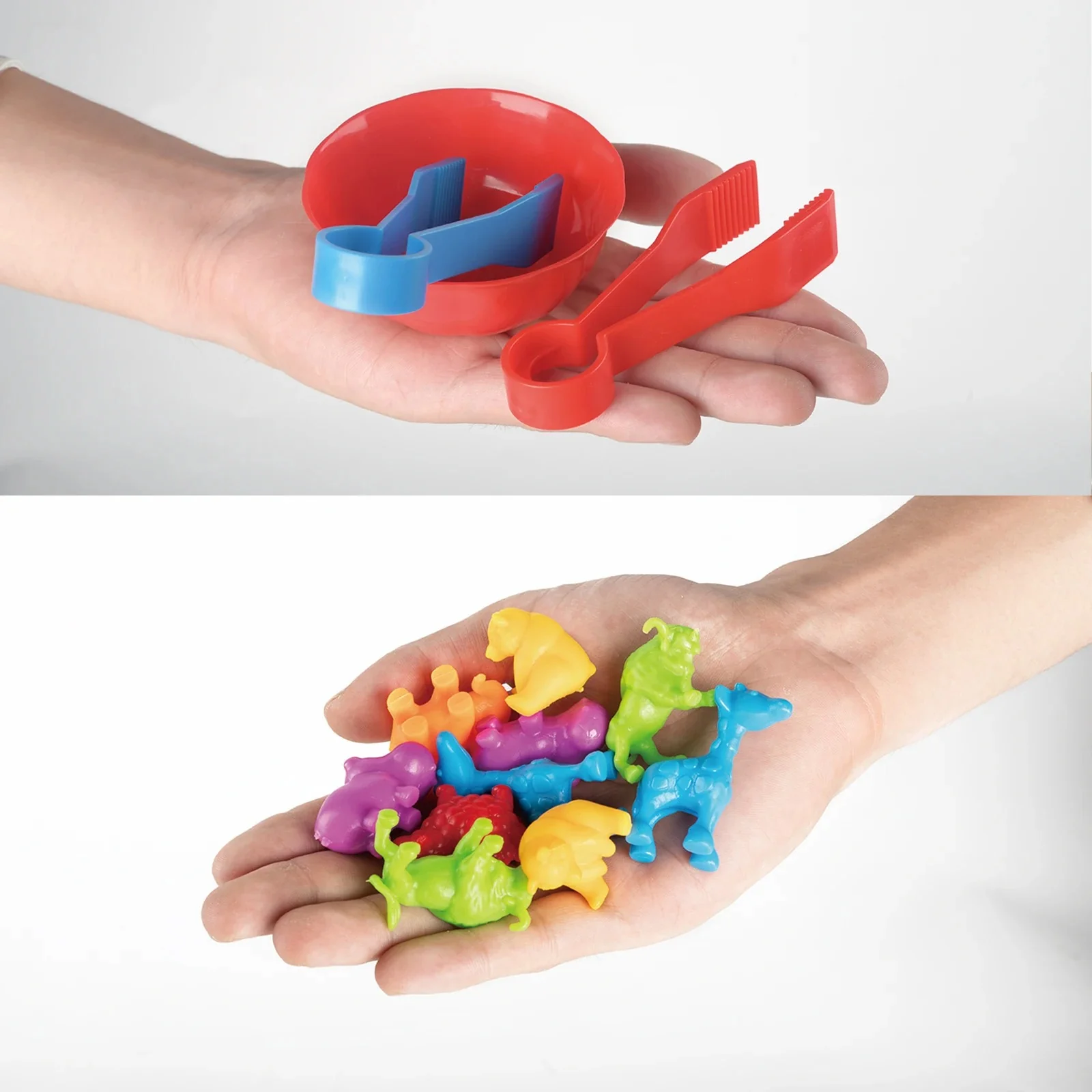 Sorting Animal - Montessori Game Set - Image 3