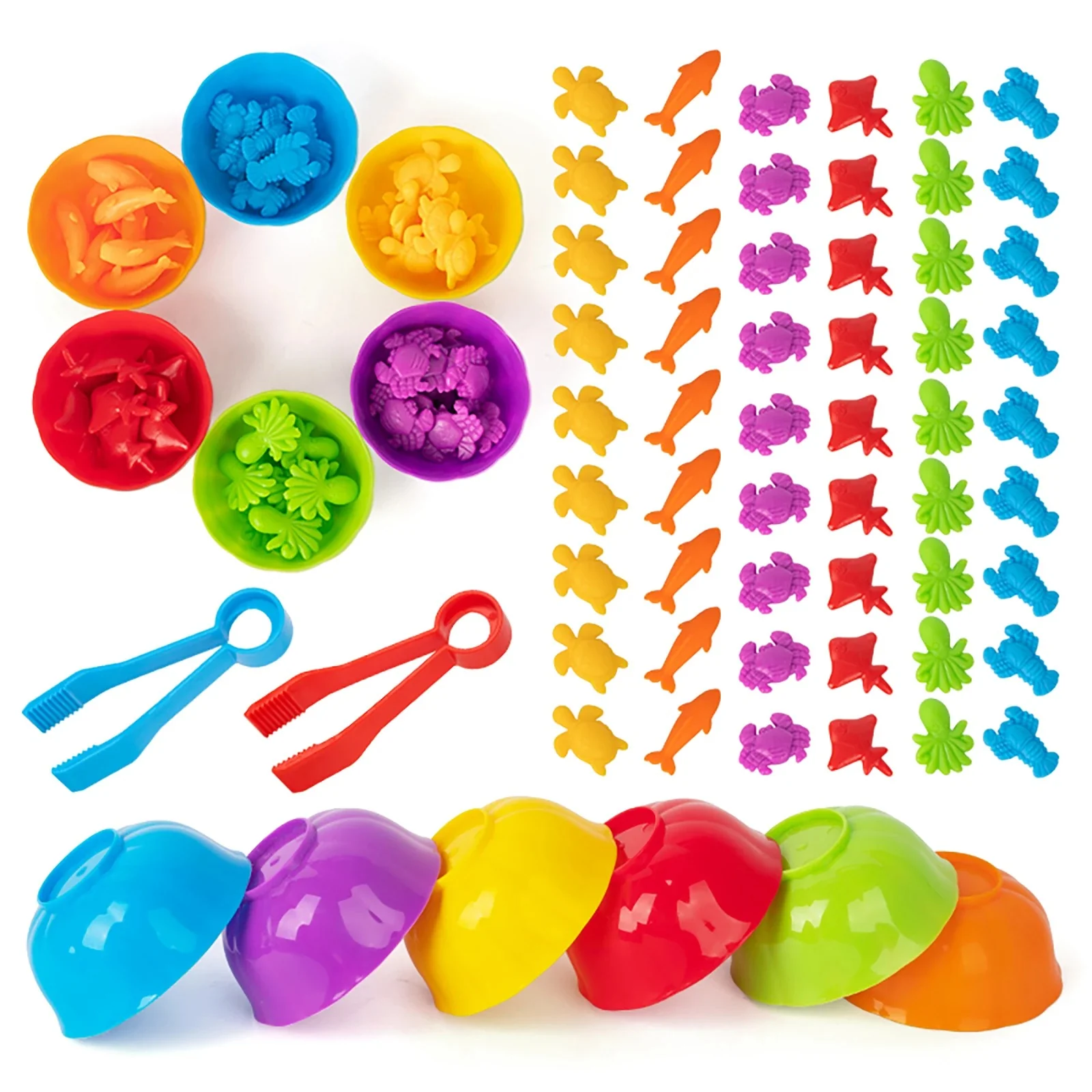 Sorting Animal - Montessori Game Set - Image 5